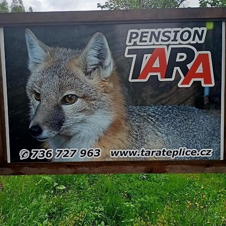 Pension Tara Teplice nad Metuji Luaran gambar
