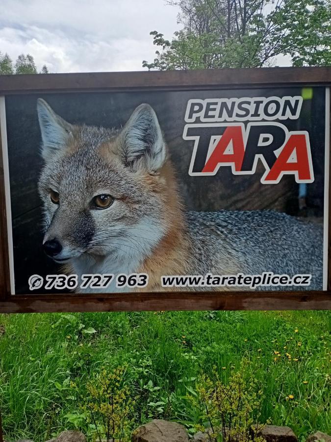 Pension Tara Teplice nad Metuji Luaran gambar